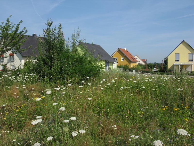 Single wohnung kamenz